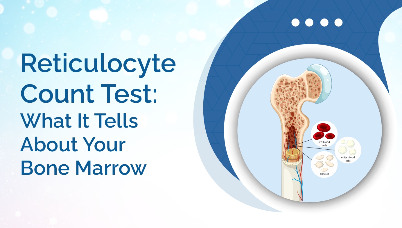 Reticulocyte Count Test: What It Tells About Your Bone Marrow